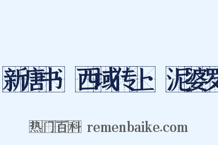 新唐书·西域传上·泥婆罗是什么意思的图片